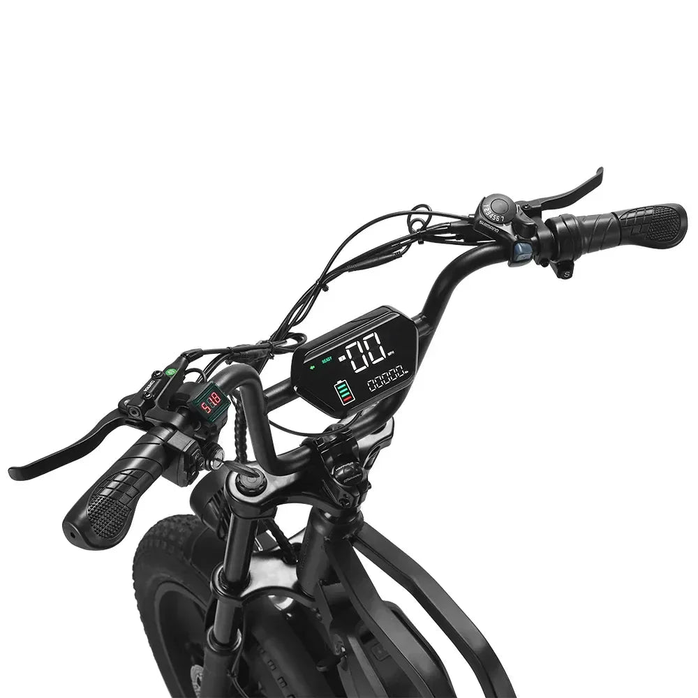 HAPPYRUN Tank G60C 20" Fat Tire E-Bike
