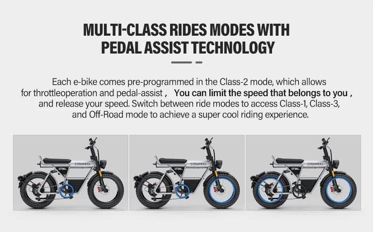 COSWHEEL CT20S E-Mountain Bike