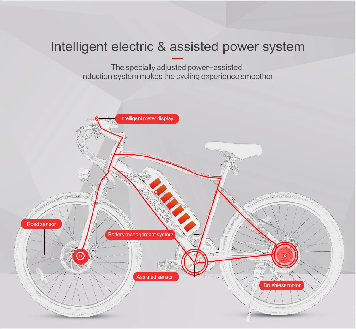 SAMEBIKE EBE2 Folding E-Bike