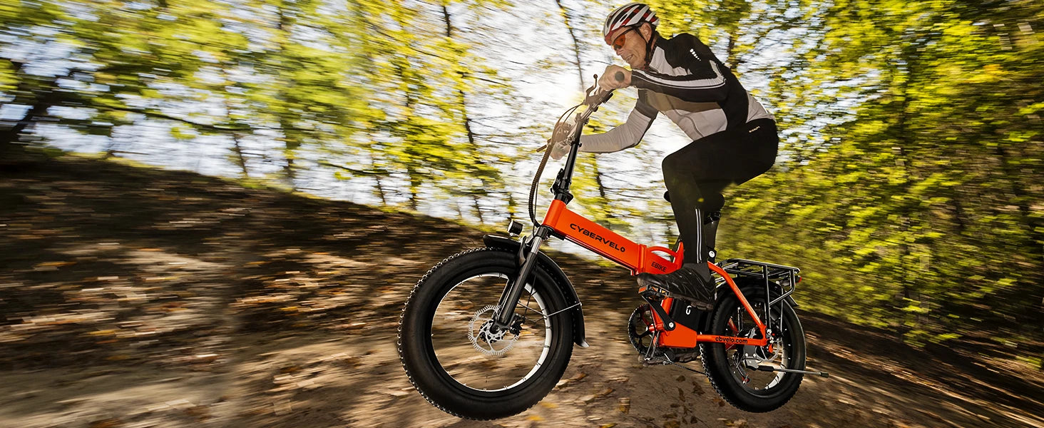 1000W Folding E-Bike
