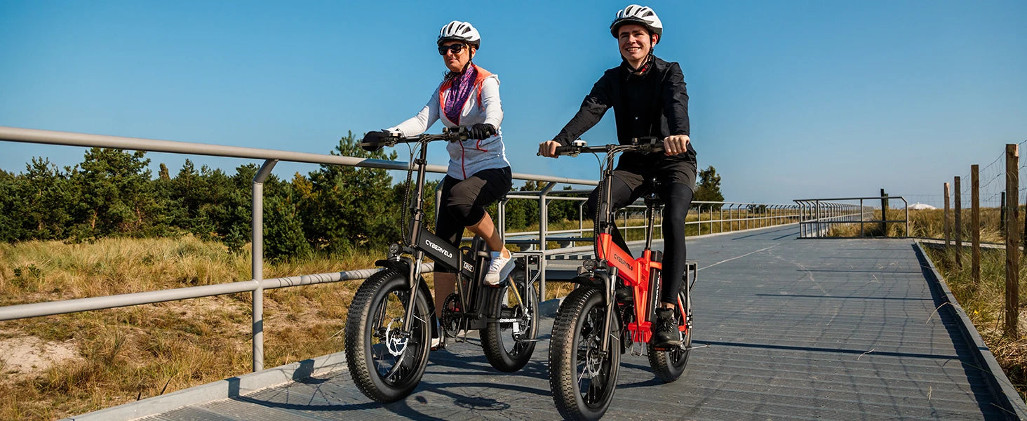 1000W Folding E-Bike