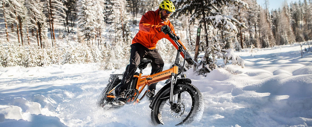 1000W Folding E-Bike