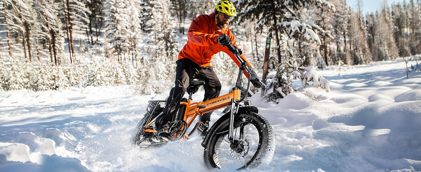 1000W Folding E-Bike